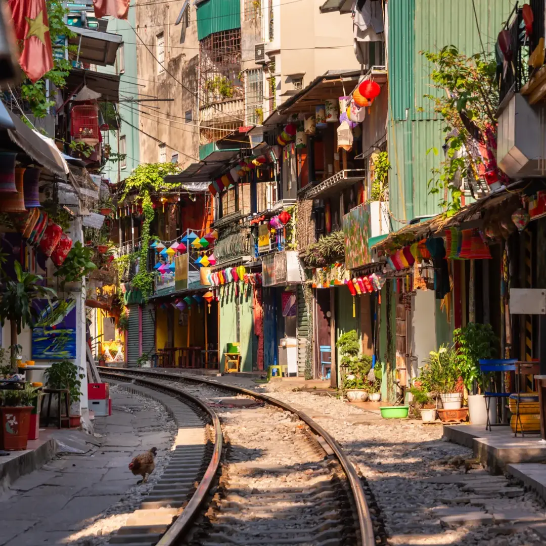 Una experiencia cultural que brilla en la noche