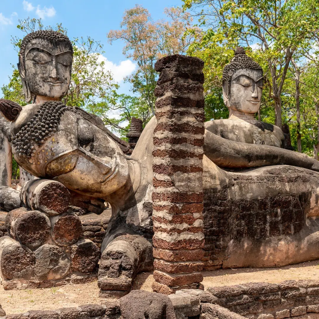 An exotic journey with comfort nature and unique experiences