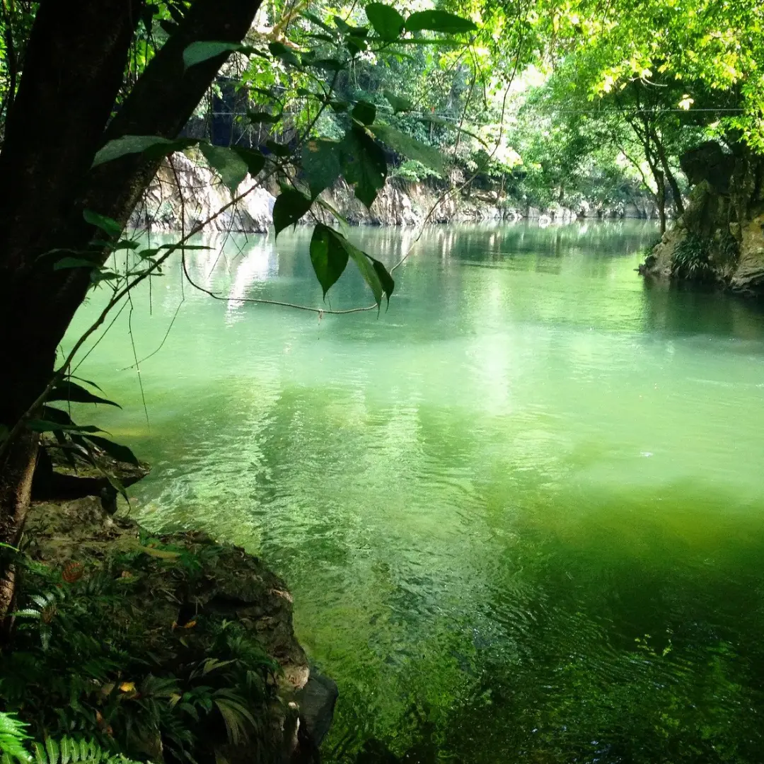 Aventura entre selva y río