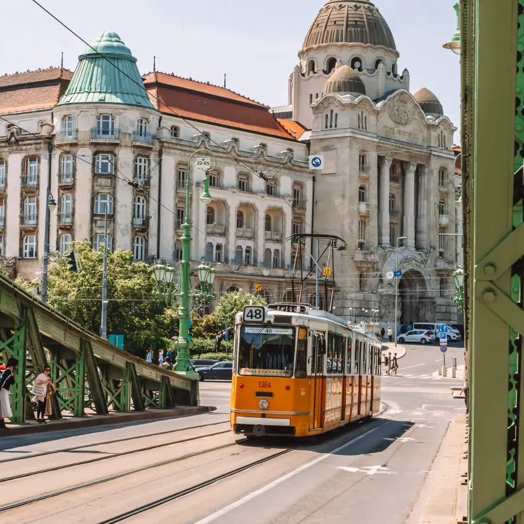 Un camino lleno de majestuosidad