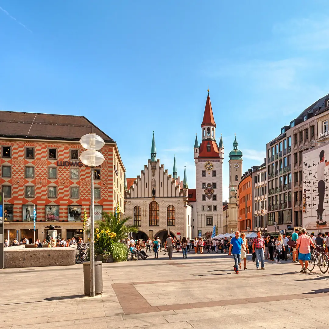 Un camino lleno de naturaleza viva