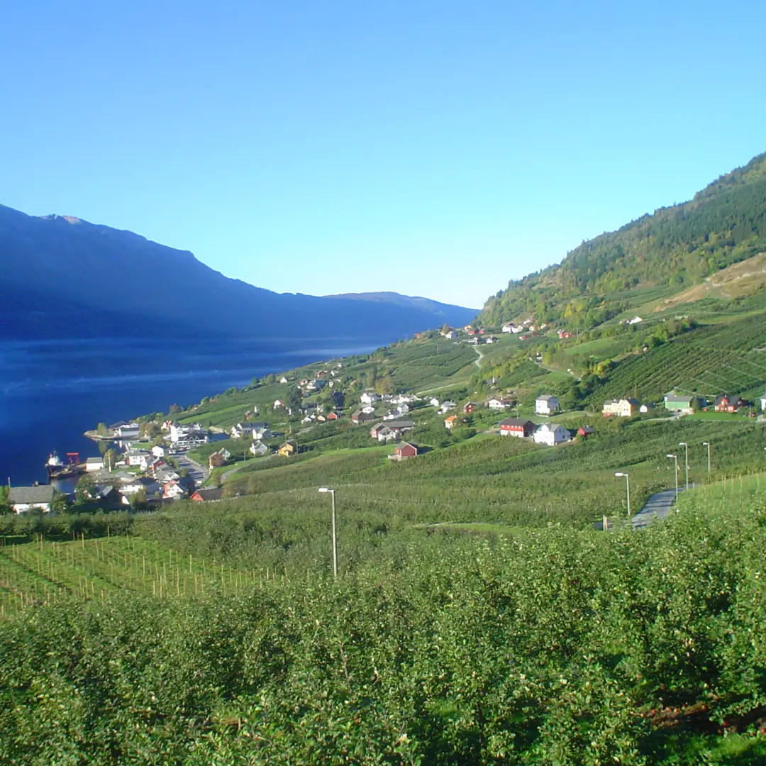 A Nordic experience designed to enjoy comfort and epic scenery