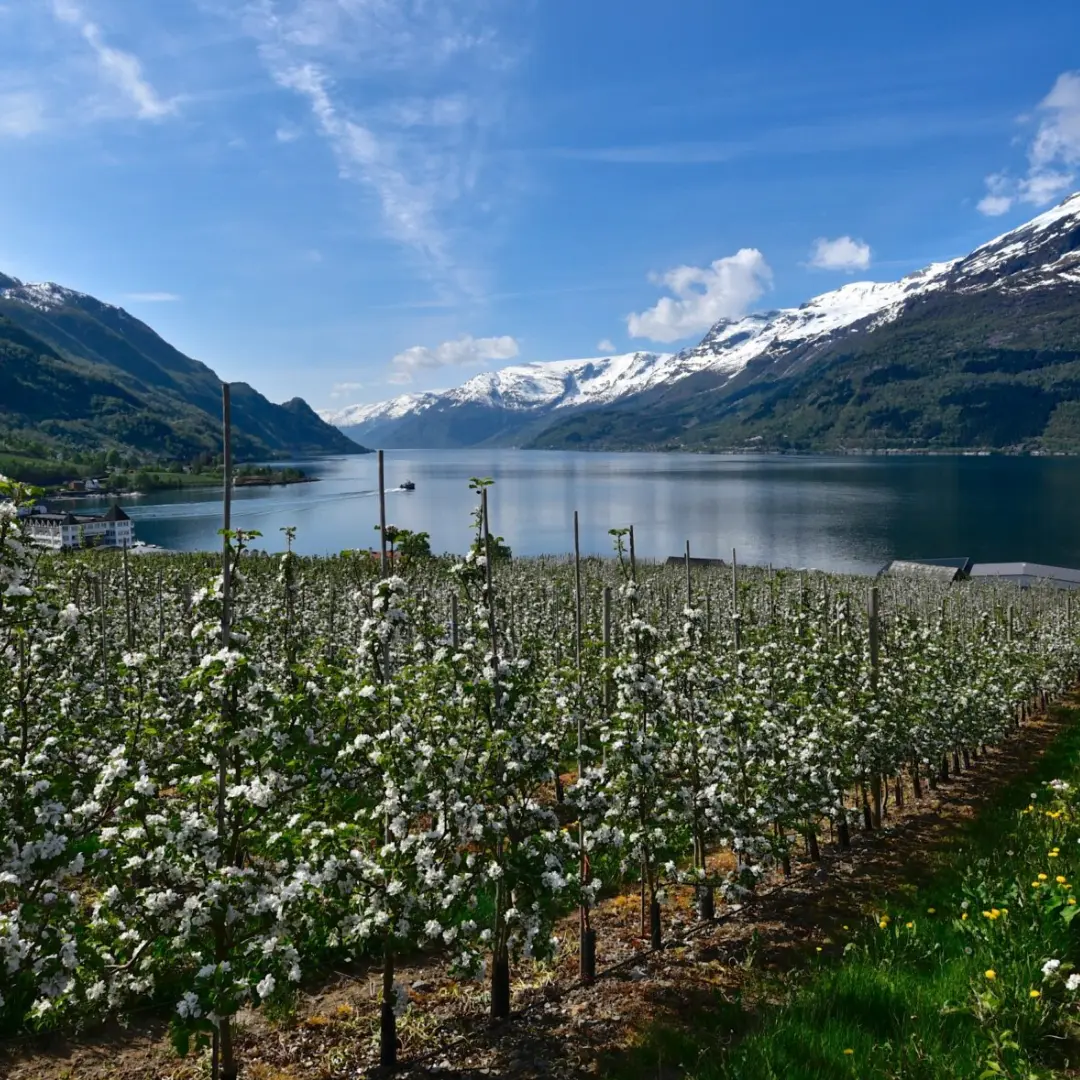 A Nordic experience designed to enjoy comfort and epic scenery