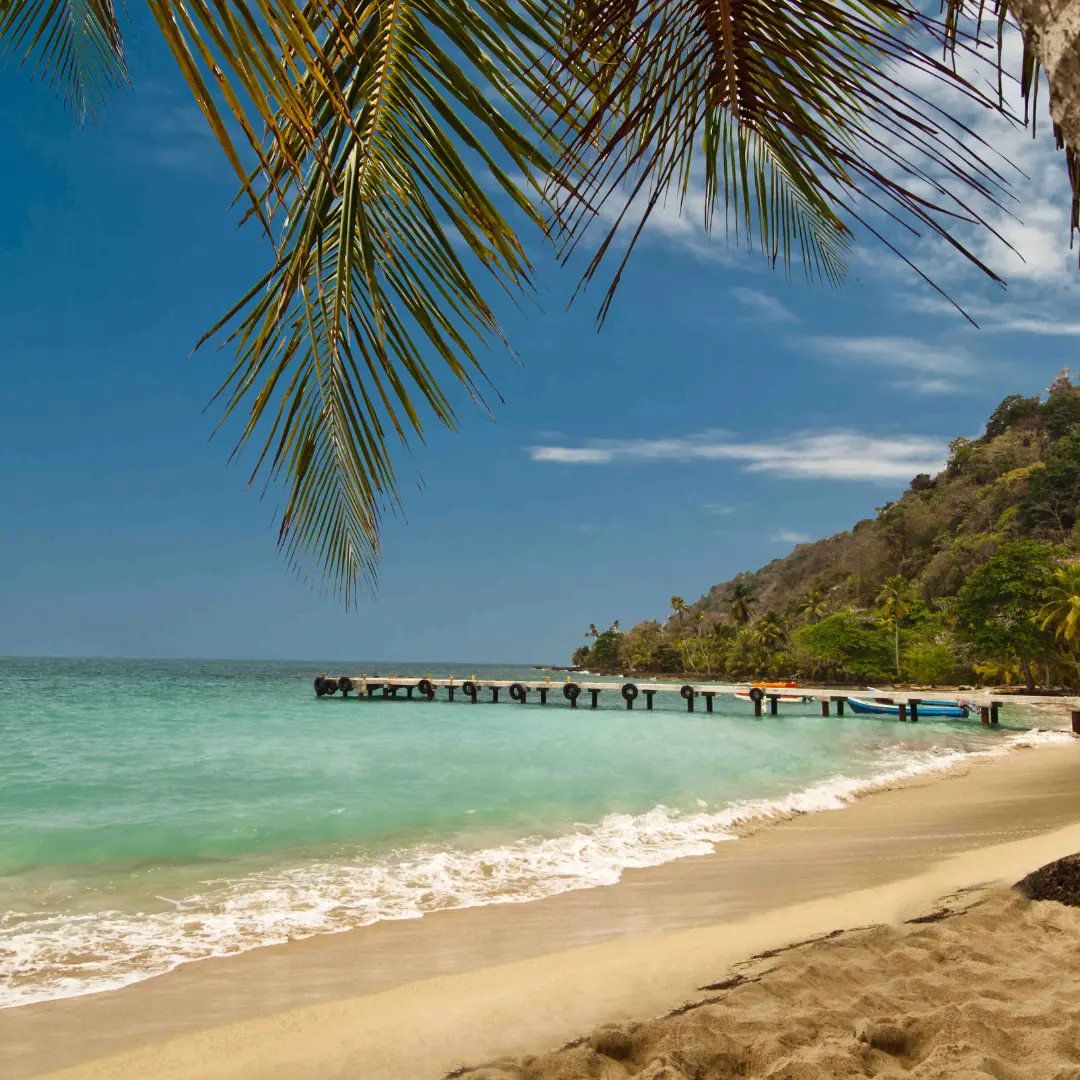 Una travesía hacia la calma