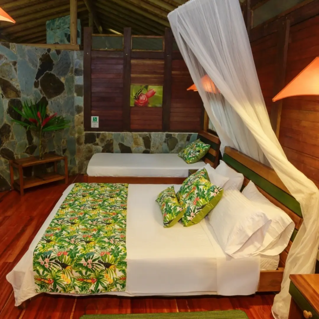 Selva y océano en armonía