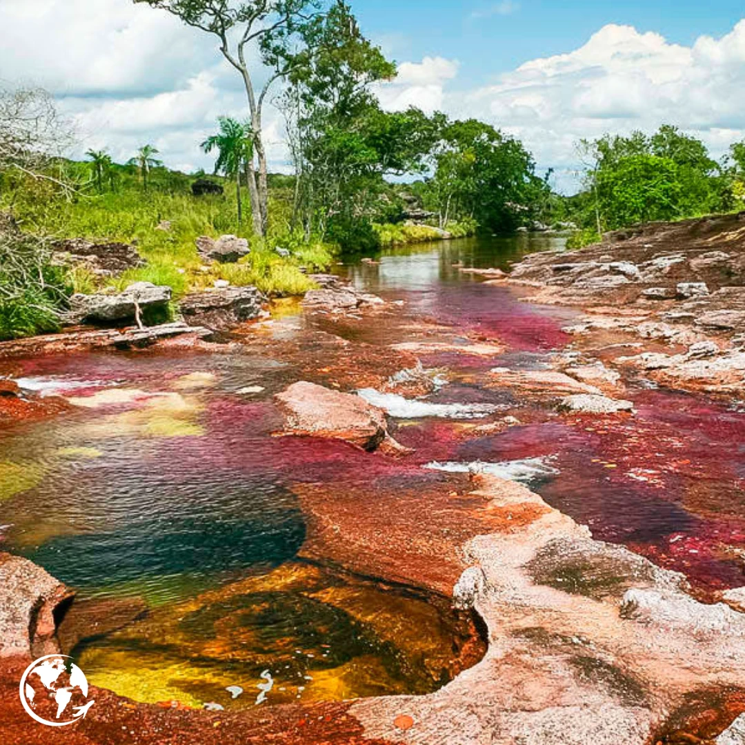 Rio de colores