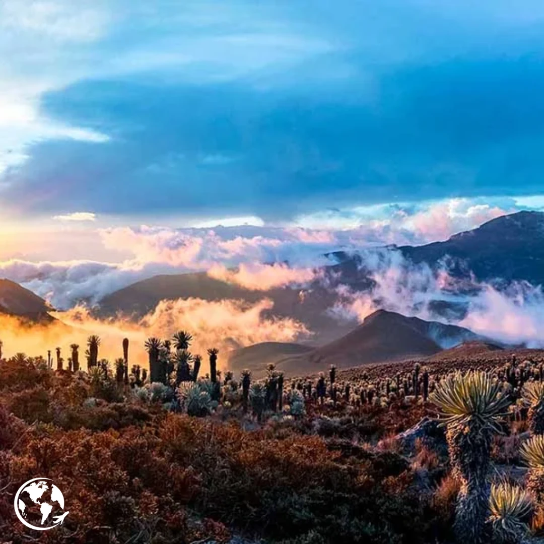 Vistas y experiencias inolvidables