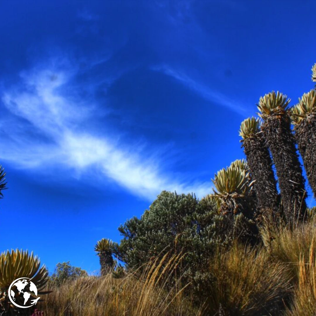Naturaleza en cada momento