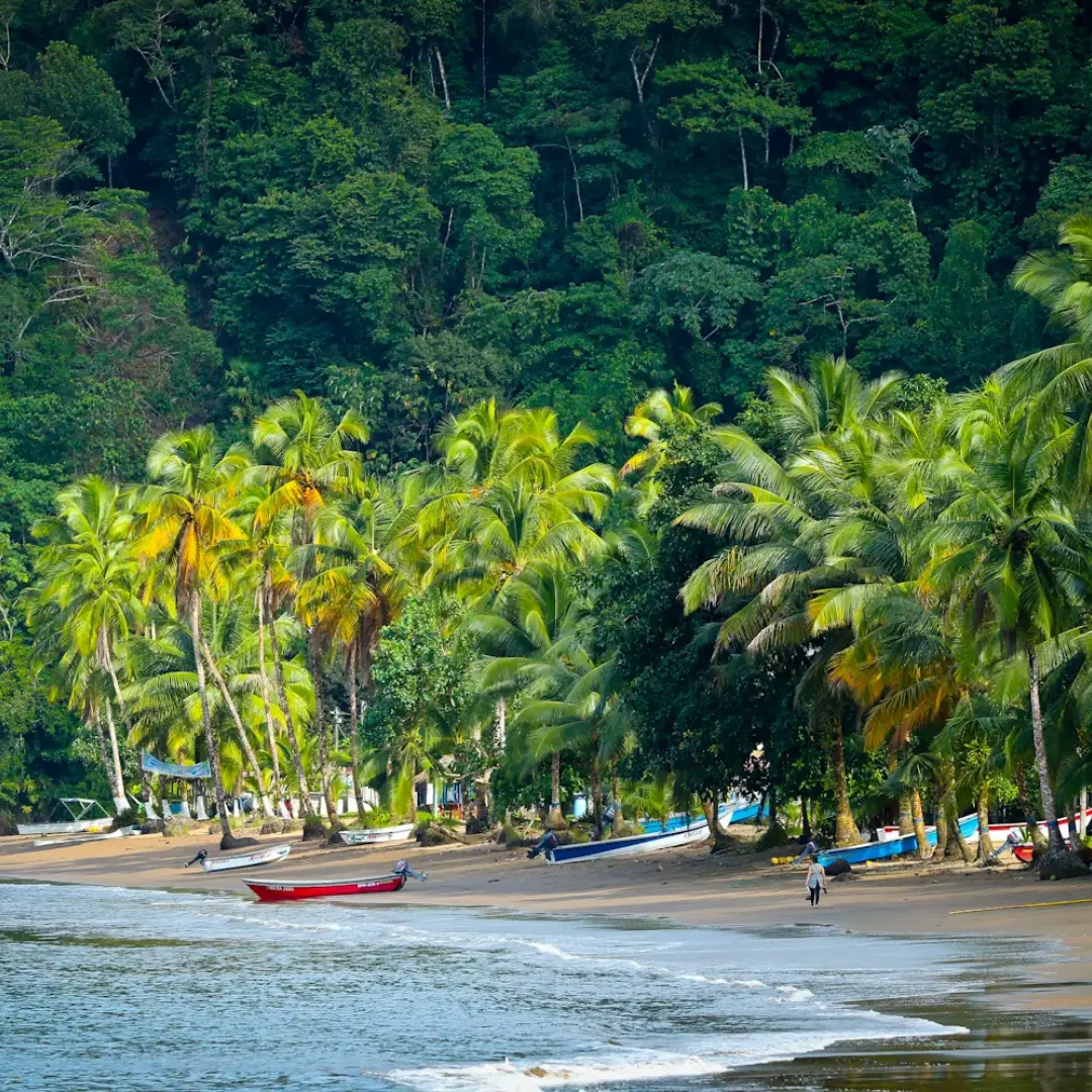 Corporación Playas Vivas