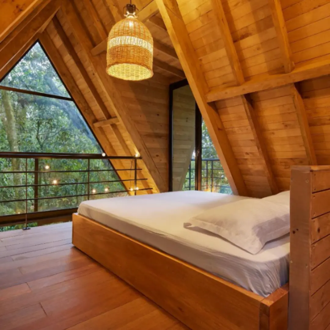 Discover exclusive plans that elevate your trip into a world of magic