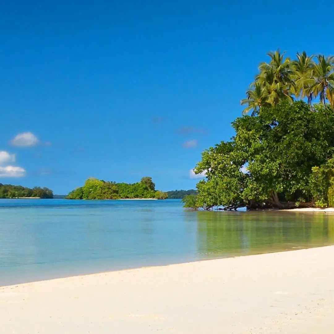 Naturaleza salvaje y emociones únicas