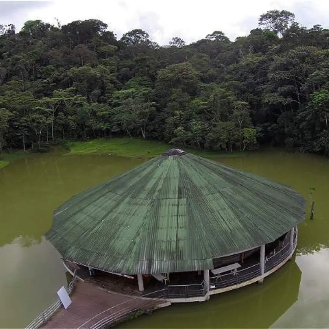 Putumayo Amazon rainforest with waterfalls and pink dolphins