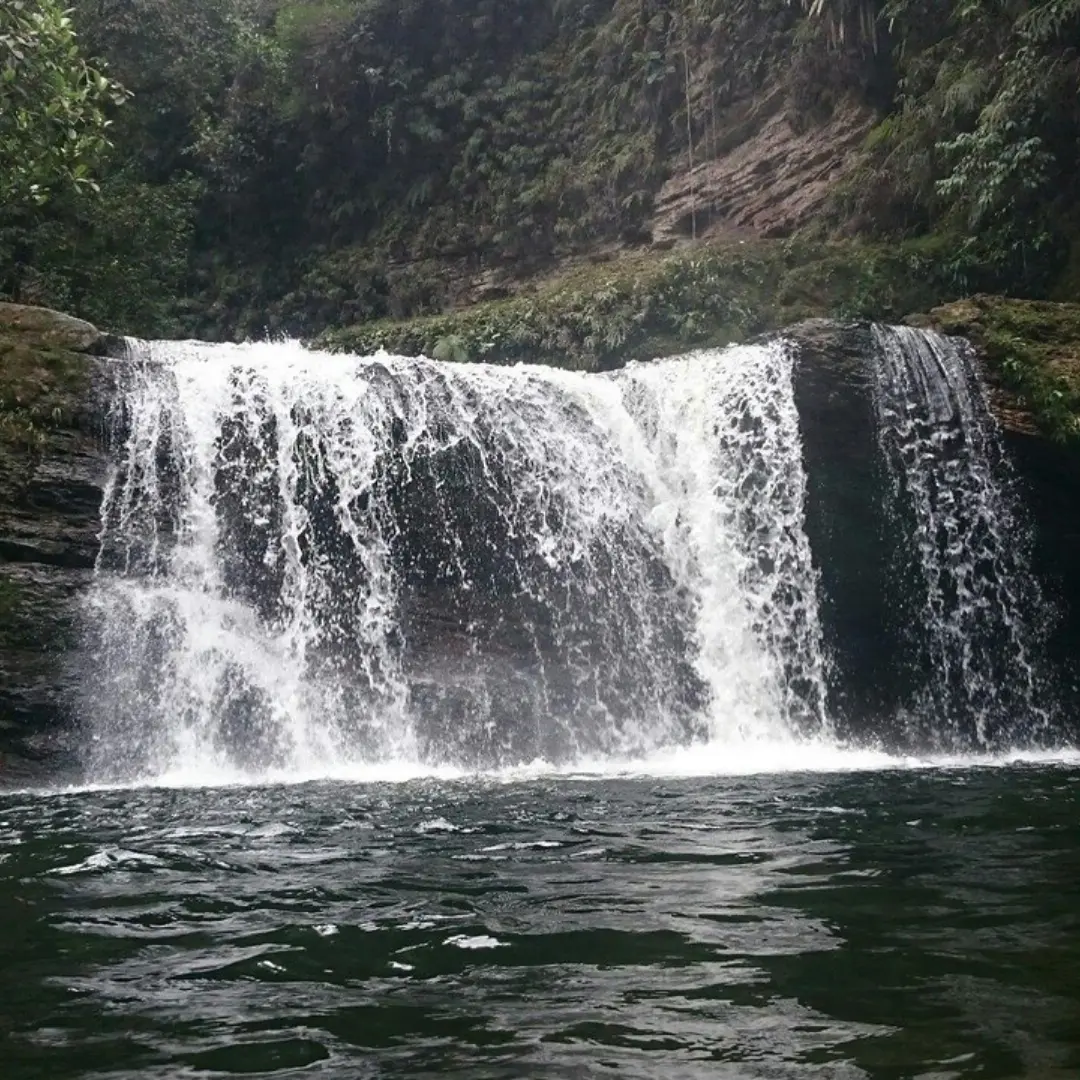 Putumayo Amazon rainforest with waterfalls and pink dolphins