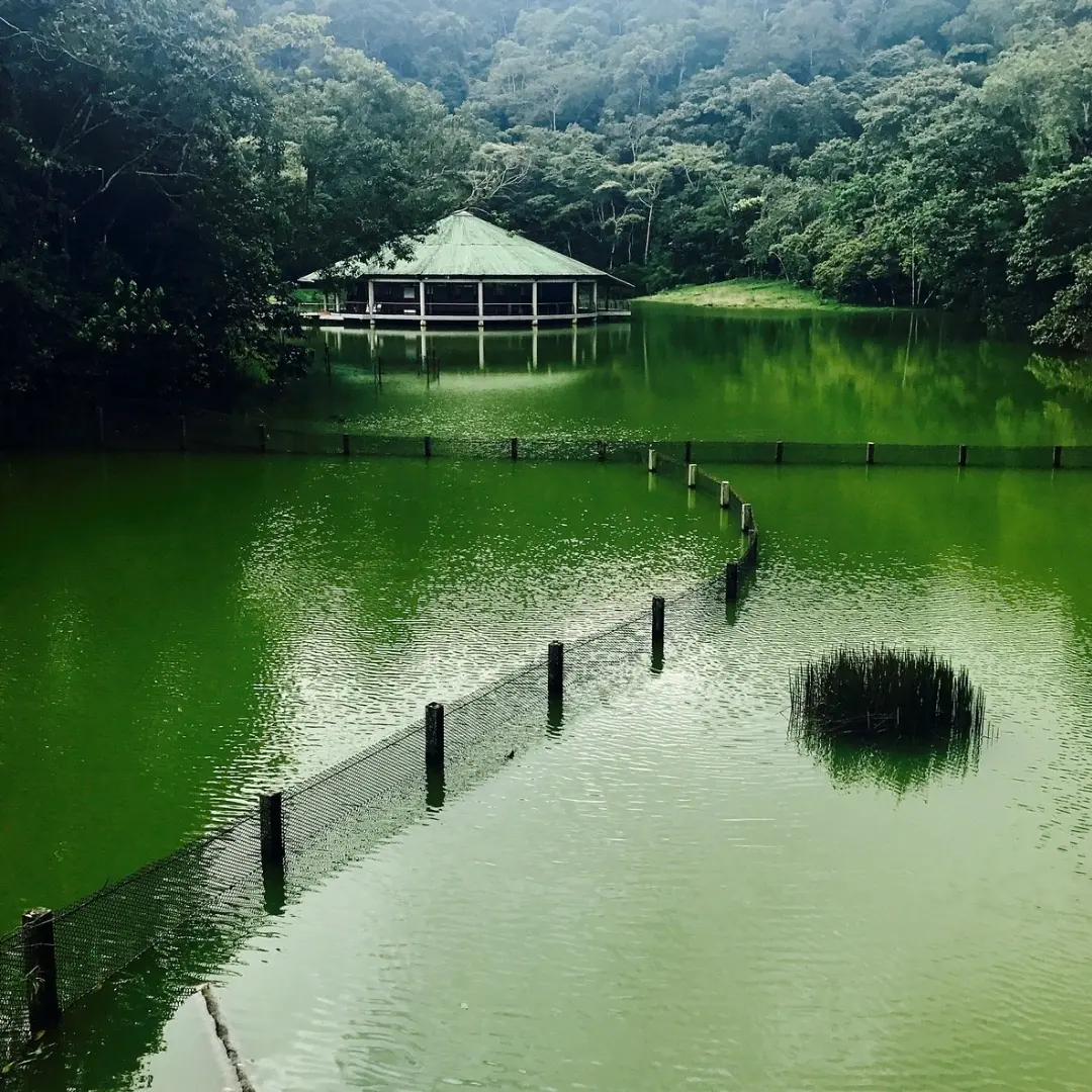 Putumayo Amazon rainforest with waterfalls and pink dolphins