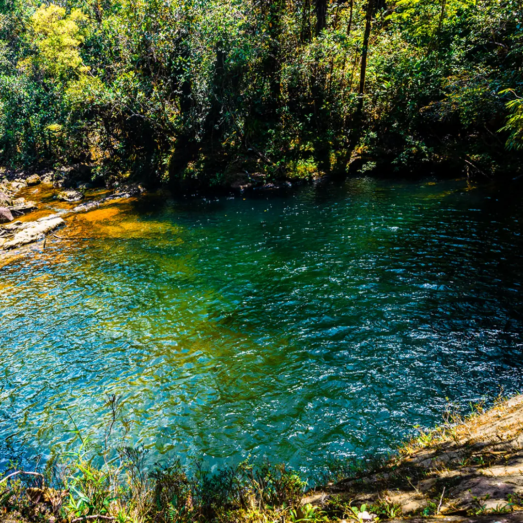 Putumayo Amazon rainforest with waterfalls and pink dolphins