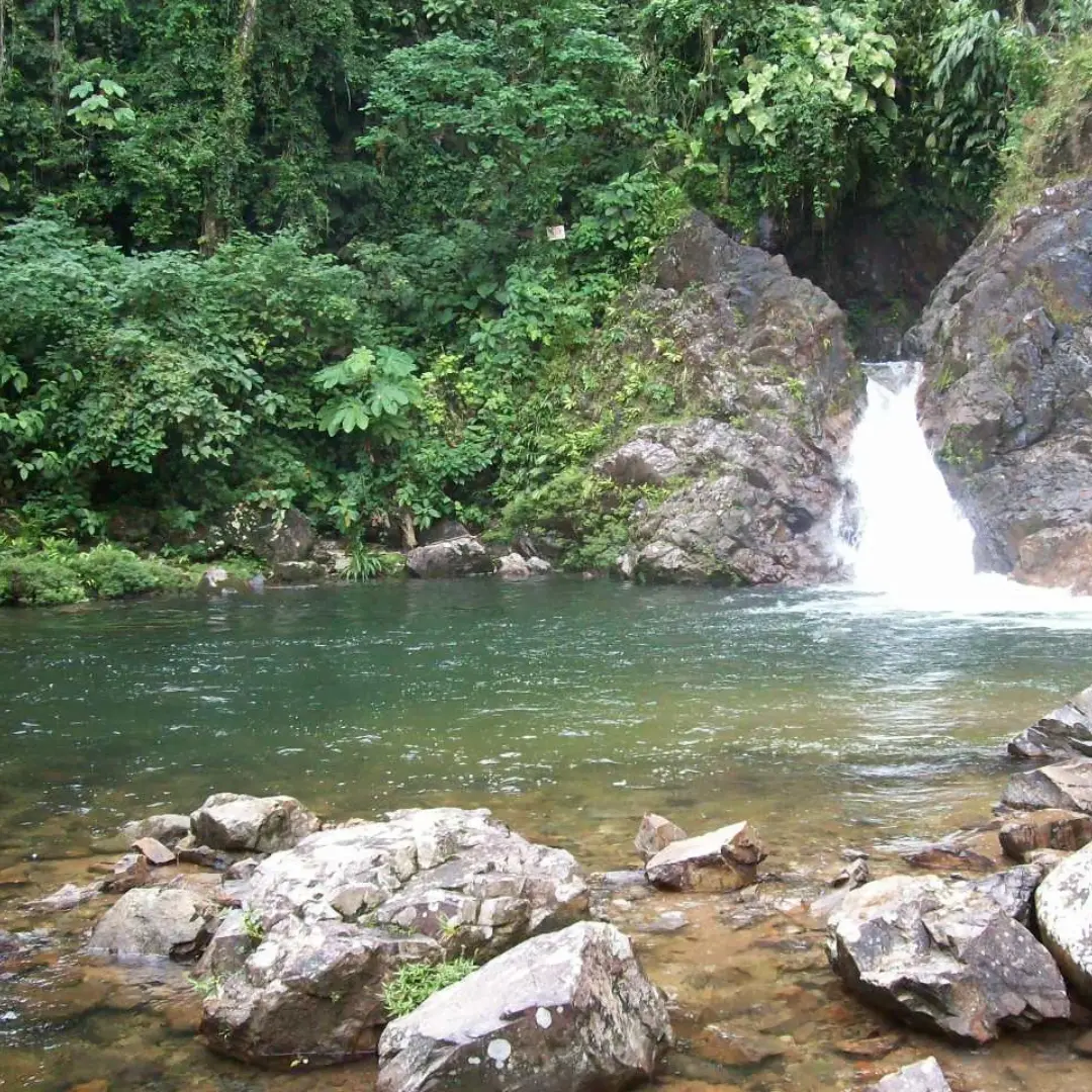 Putumayo Amazon rainforest with waterfalls and pink dolphins