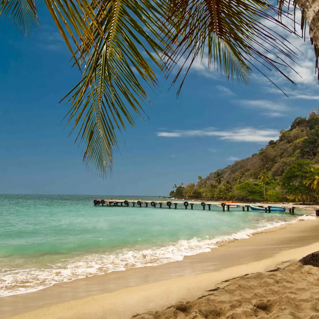 Experiencias que alivian y alegran el corazón