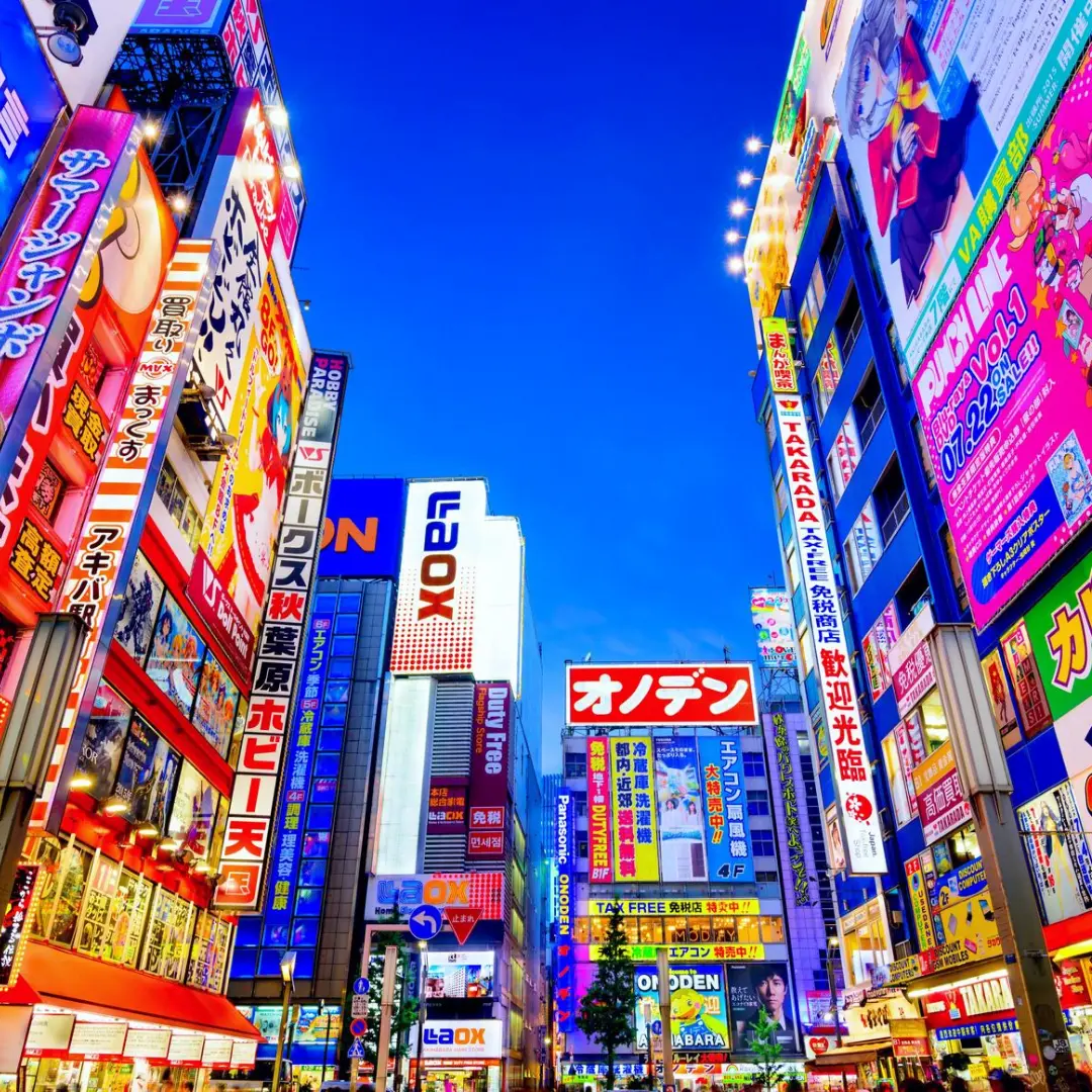 Explora la armonía entre pasado y futuro