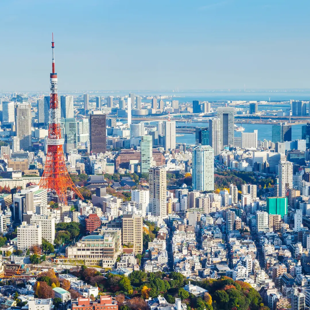 Descubre la elegancia en cada detalle