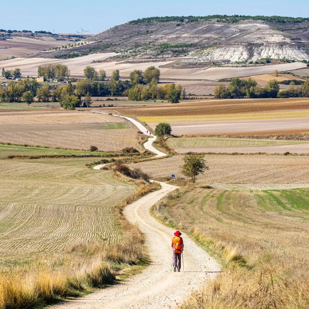 Viaje profundo de reflexión y descubrimiento