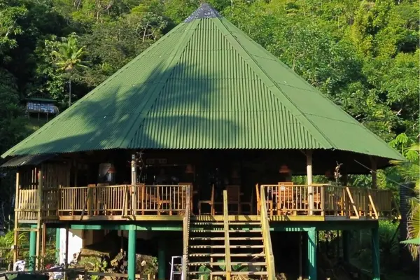 Conéctate con la naturaleza y vive el avistamiento de ballenas