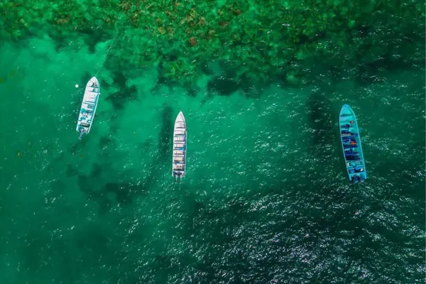 Beachfront accommodation in Capurganá for rest