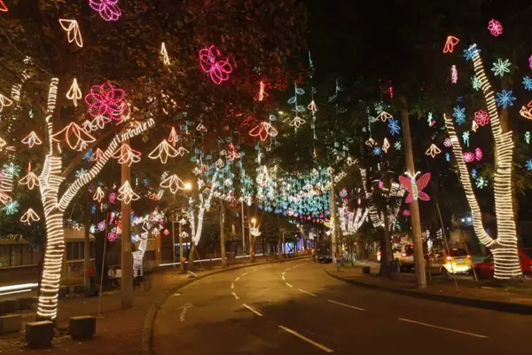 Discover Medellín's Christmas magic in an enchanting nighttime tour