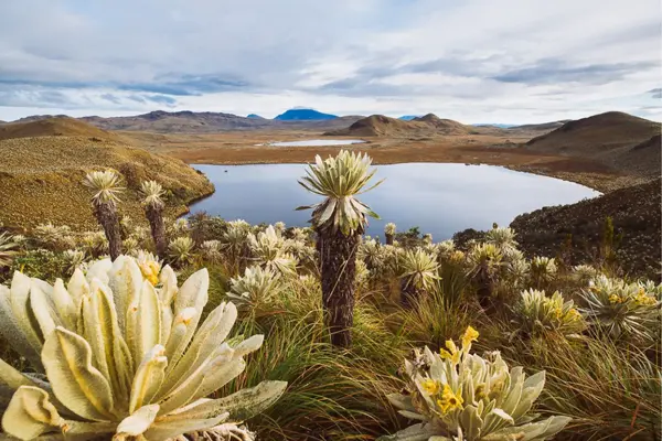 Explora Cali, Popayán, Pasto y el Santuario de las Lajas en un viaje inolvidable
